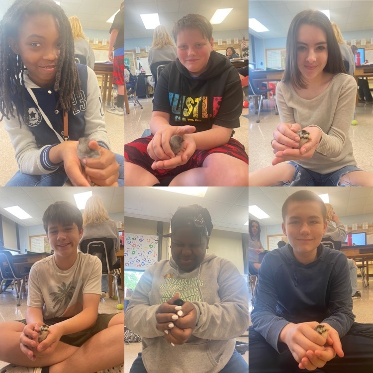 students holding chicks